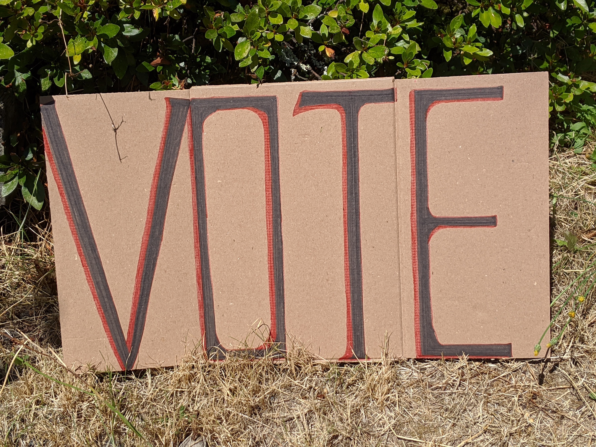 "VOTE" protest sign.