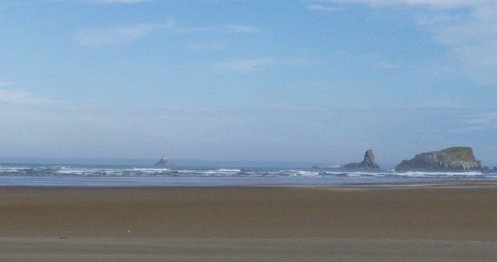 View of the Pacific Ocean from Cannon Beach, Oregon. Photo by Jennifer Willis.